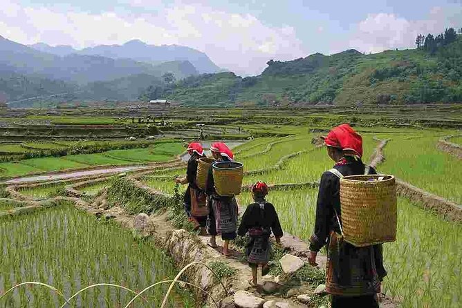 Sapa Easy Trekking Tour 1 Day - Rice Paddies and Cultures - What the Sapa Ta Phin trek is really like