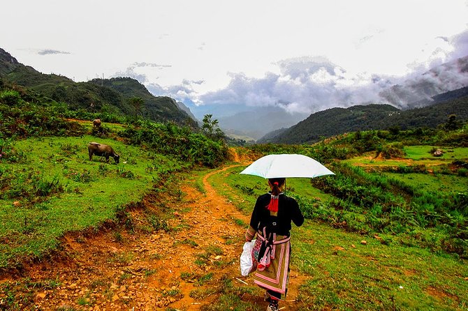 Sapa Easy Trekking Tour 1 Day - Rice Paddies and Cultures - Y Linh Ho and the Black Hmong community