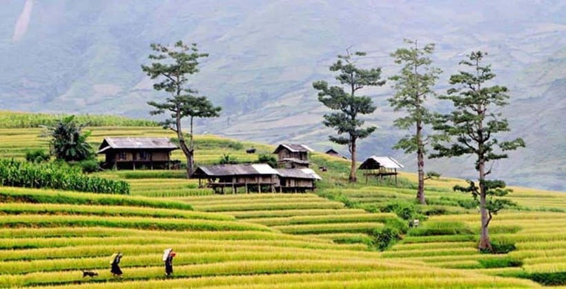 Sapa: Eco Adventure Terrace Fields and Local Villages Trek - Y Linh Ho and the first serious trail section