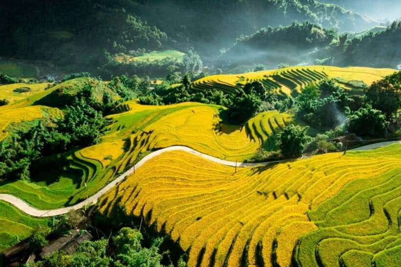 Sapa: Eco Adventure Terrace Fields and Local Villages Trek - Lunch with Hmong hospitality around 12:30 PM