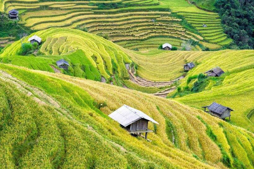 Sapa: Eco Adventure Terrace Fields and Local Villages Trek - Who should book this Sapa trek?