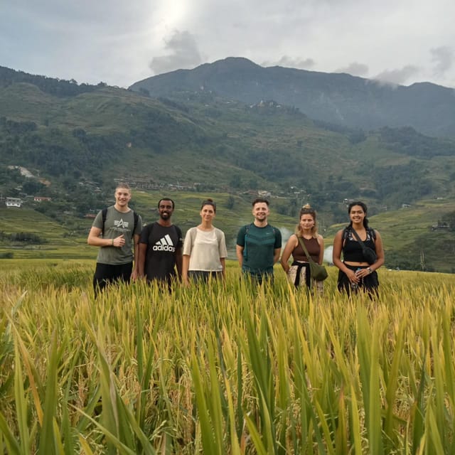 Sapa: Full-Day Trekking Tour to Lao Chai and Ta Van Village - Walking beside Muong Hoa Stream from Y Linh Ho