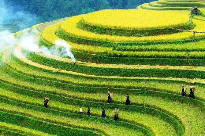 Sapa Muong Hoa Valley & Ta Van Eco Village Scenic Tour (No Trek) - Key Points to Know Before You Book