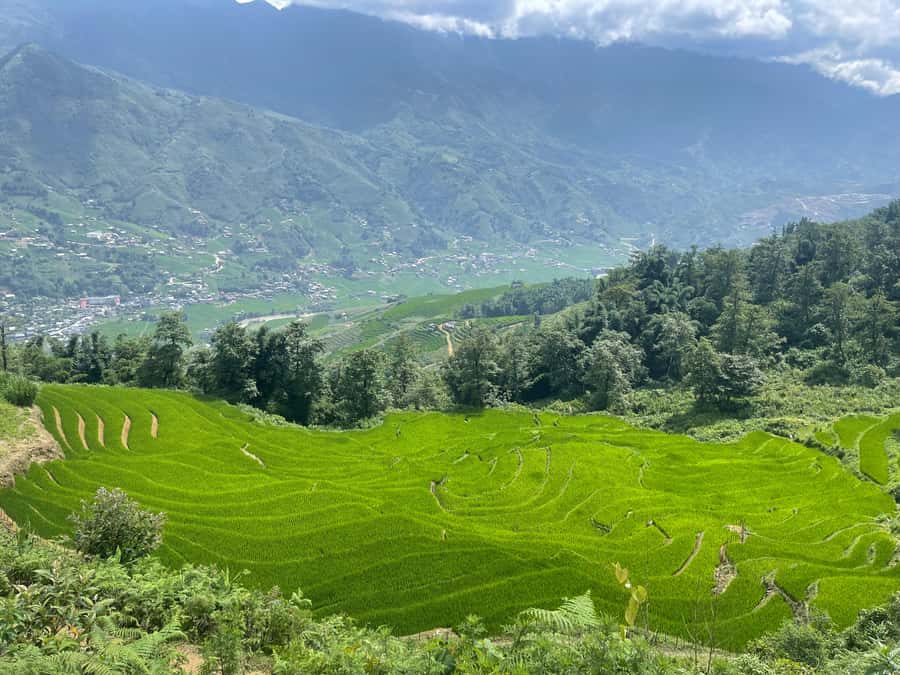 Sapa: Muong Hoa Valley View & Villages Trek with Local Guide - The 2.5 kilometer climb above Sapa
