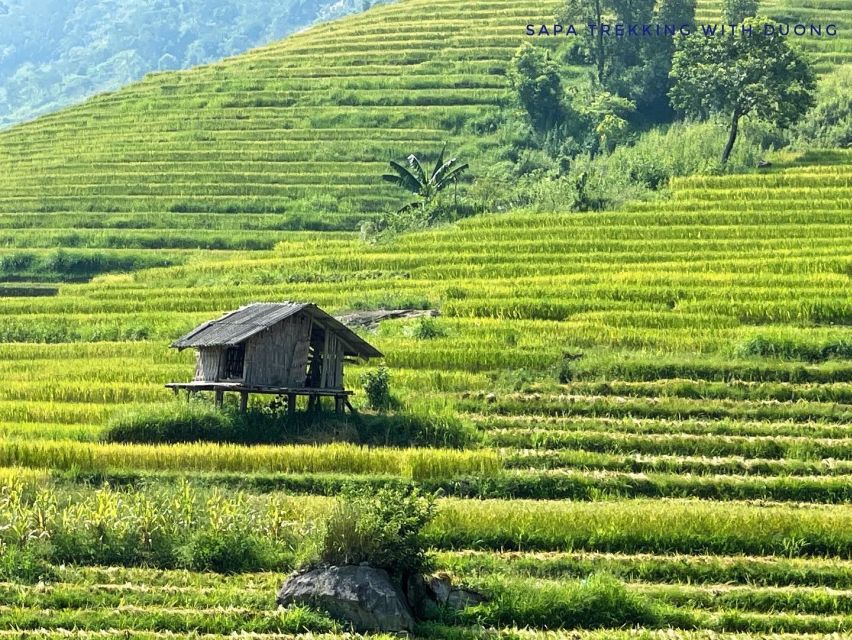 Sapa: Private Muong Hoa Valley and Homestay Trekking 2-Day - Why this Muong Hoa trek is worth your time