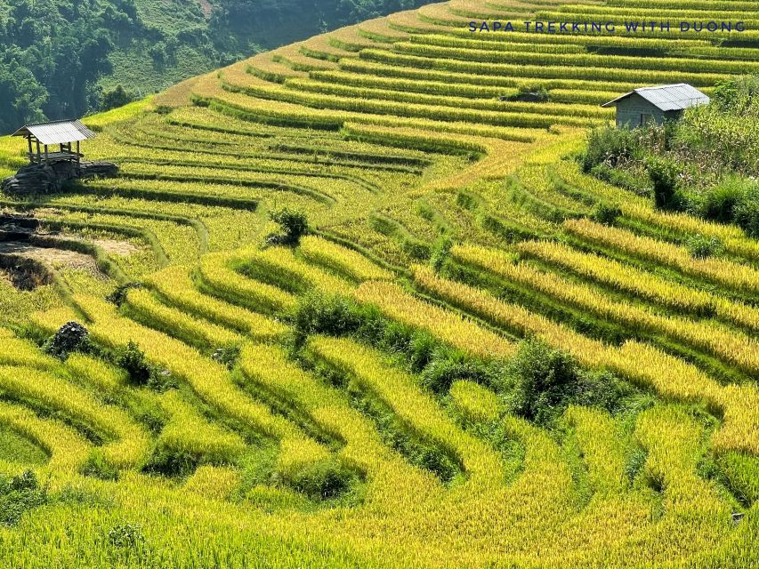 Sapa: Private Muong Hoa Valley and Homestay Trekking 2-Day - Lao Chai and the move from scenery to culture