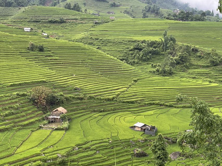 Sapa: Private Muong Hoa Valley and Homestay Trekking 2-Day - Day two: bamboo, water, and Giang Ta Chai