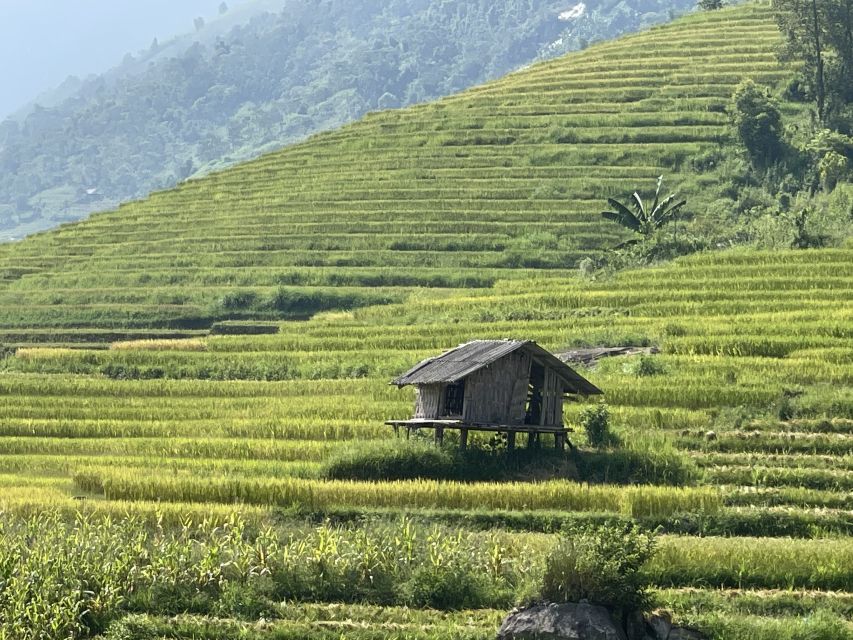 Sapa: Private Muong Hoa Valley and Homestay Trekking 2-Day - What the $78 price includes
