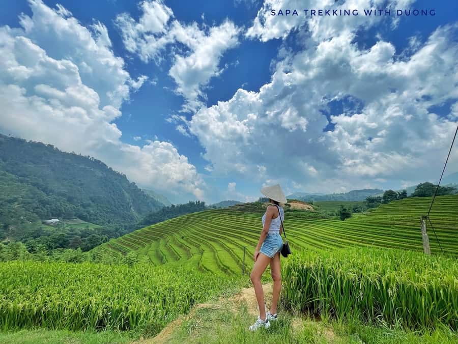 Sapa: Private The Most Beautiful Terraced Fields Trekking - Why this Sapa walk is worth your time