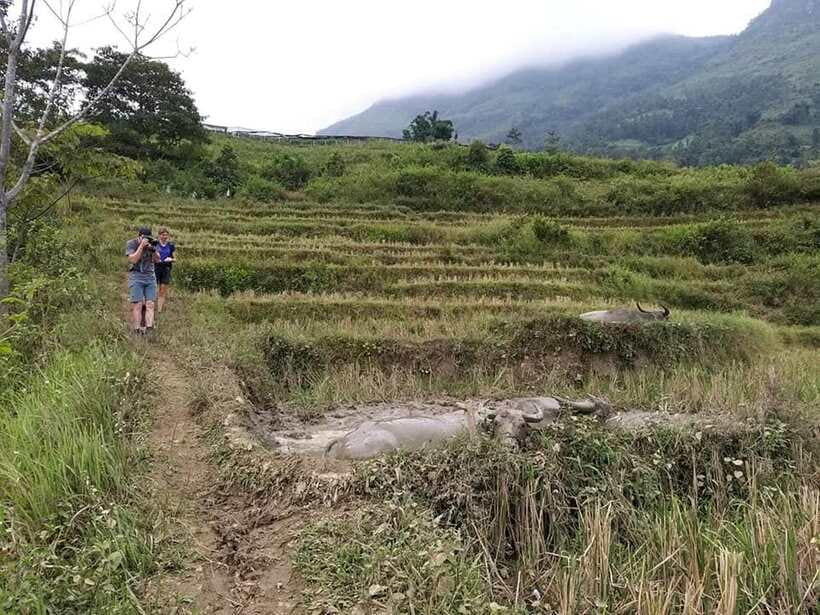Sapa: Private trek to Muong Hoa Valley - Leaving Sapa on foot for Muong Hoa Valley