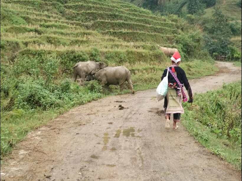 Sapa: Private trek to Muong Hoa Valley - Lao Chai and the famous rice terraces