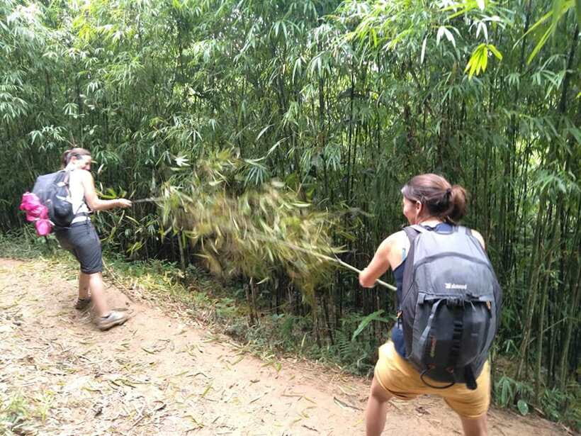Sapa: Private trek to Muong Hoa Valley - What the $47 price really covers