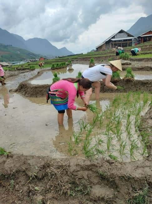 Sapa small groupe activities: 1 Day trek - Meet the locals - Why this Sapa trek works well