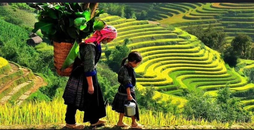 Sapa: Ta Phin Village Trek & Red Dao Herbal Bath - Suoi Ho and the Black H’mong way of life