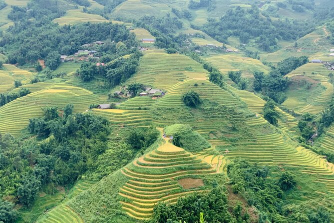 Sapa The Hidden Trail Trek 1 Day - Mountain & Rice Valley - Why this Sapa trek feels different