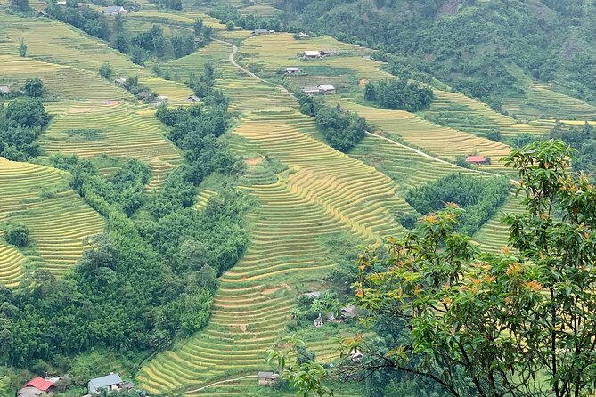 Sapa The Hidden Trail Trek 1 Day - Mountain & Rice Valley - Giang Ta Chai and the small cultural museum