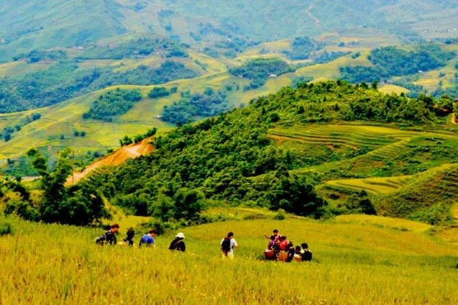 Sapa Trek 3 days 3 nights small group tour - Homestay and Hotel from Hanoi - Giang Ta Chai, the bamboo forest, and Su Pan