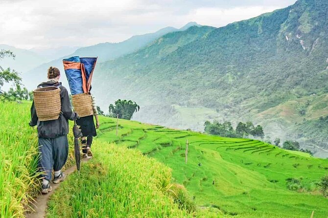 Sapa Trek Tour with Sleeper Bus/Night Train - Overnight at Hotel - Lao Chai and Ta Van on the main trekking day