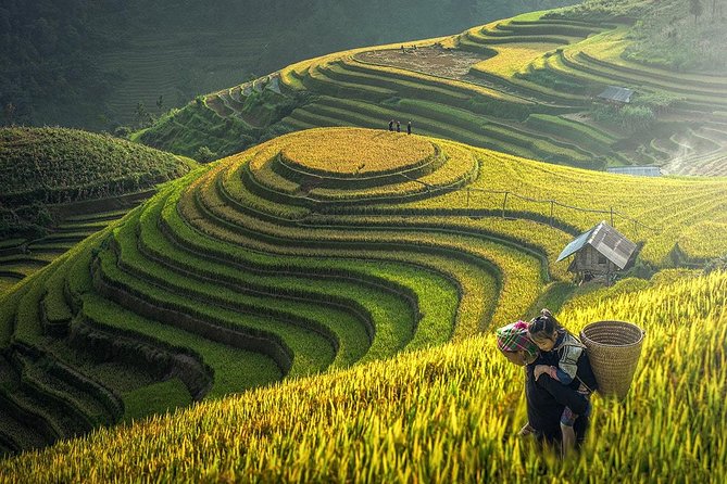 Sapa Trek Tours -2D1N Stay At 3*** -TRANSFER BY SLEEPING BUS - Why this short Sapa trip works