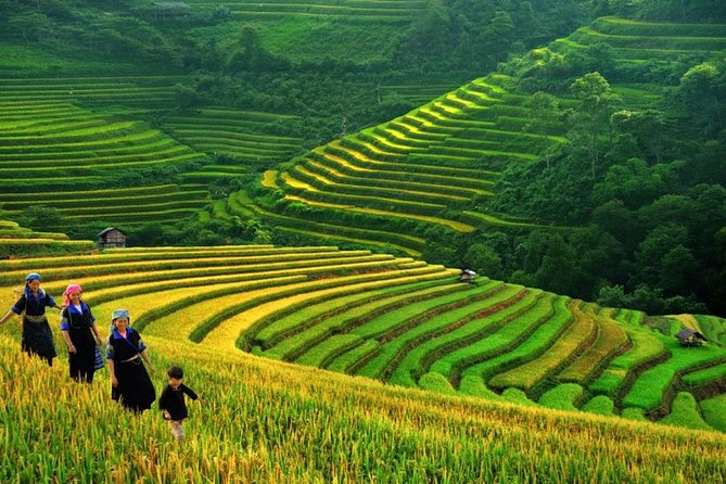 Sapa Trek Tours -2D1N Stay At 3*** -TRANSFER BY SLEEPING BUS - The early ride from Hanoi to Sapa