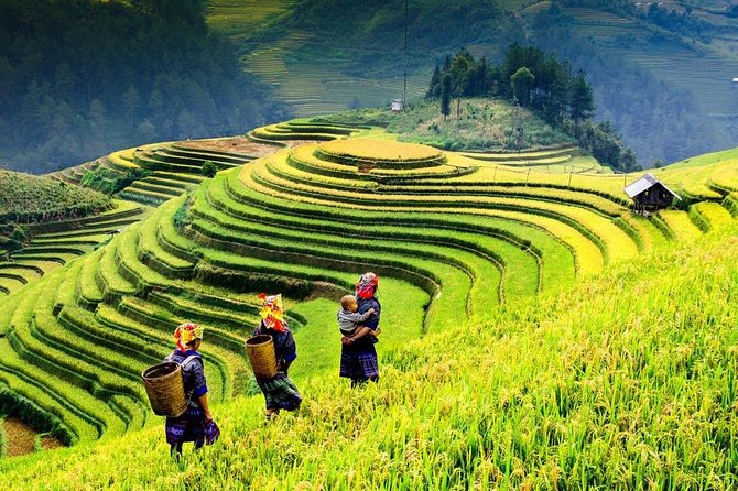 Sapa trekking 2days by bus from Hanoi ( over night in homestay) - The early bus from Hanoi