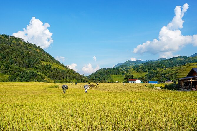 Sapa Trekking 3 Days 2 Nights (Homestay) - Departure From Hanoi - Day two: bamboo forest, waterfall, and Giang Ta Chai