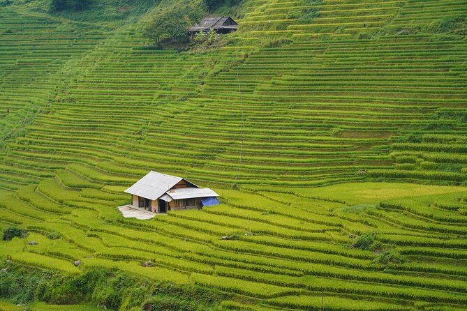 Sapa Trekking 3 Days 2 Nights (Homestay) - Departure From Hanoi - What the $98.74 price really covers