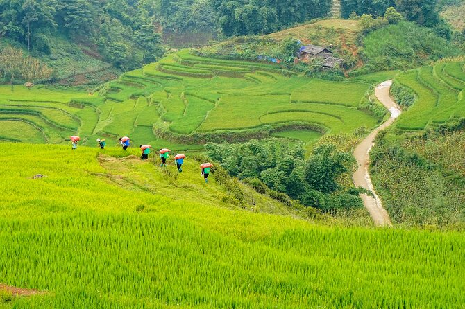 Sapa Trekking 3 Days 2 Nights (Hotel) - Departure From Hanoi - What the $100.88 price really covers