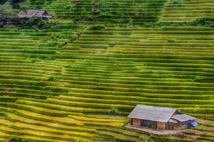 Sapa Trekking Bargains With Local Guide - Key points to know before booking