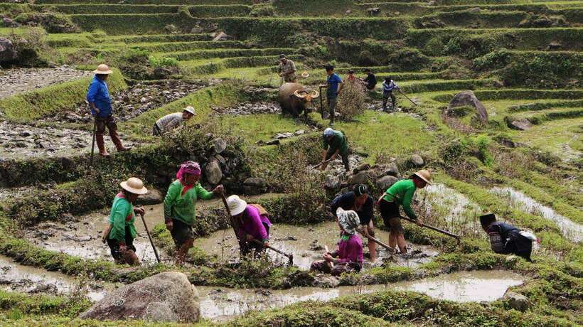 Sapa Trekking Bargains With Local Guide - A $19 day out that delivers real value