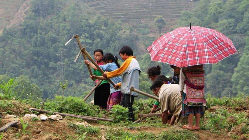 Sapa Trekking Bargains With Local Guide - Starting near Sapa Stone Church at 9 AM