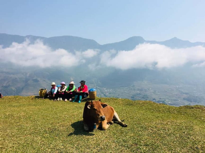 Sapa Trekking Guide Francophone 2 days – 1 night - Key points at a glance