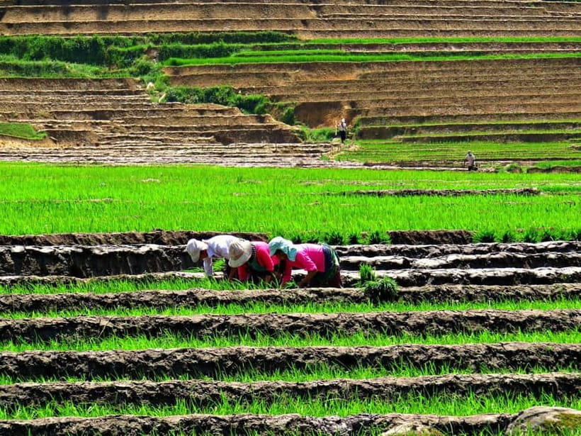 Sapa Trekking Guide Francophone 2 days – 1 night - Why this Sapa trek feels different
