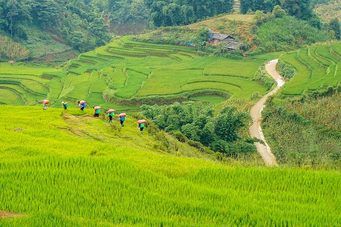 Sapa Trekking & Homestay 2 Days 1 Night - Leaving Hanoi at 6:30 for the mountain town