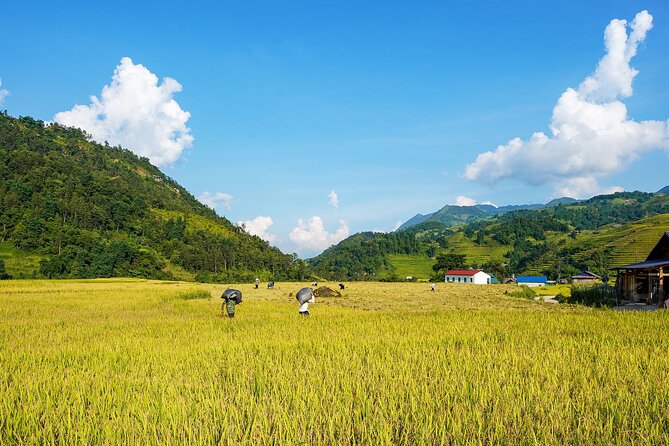 Sapa Trekking & Homestay 2 Days 1 Night - Bamboo forest and Giang Ta Chai waterfall