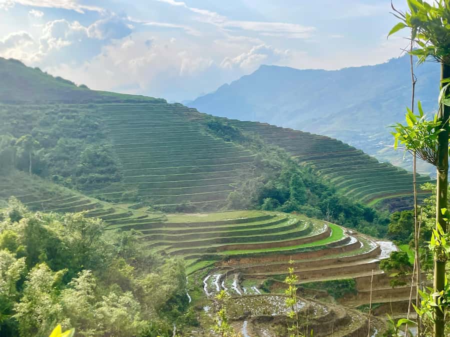 Sapa Trekking Private Tour With Ethnic Female Tour Guide - Should you book it?
