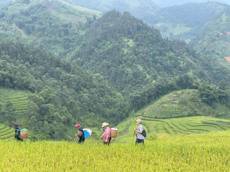 Sapa: Trekking Sapa One Day With Group Tour - Key Points Before You Book