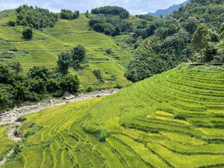 Sapa: Trekking Sapa One Day With Group Tour - What the Guides Add to the Day