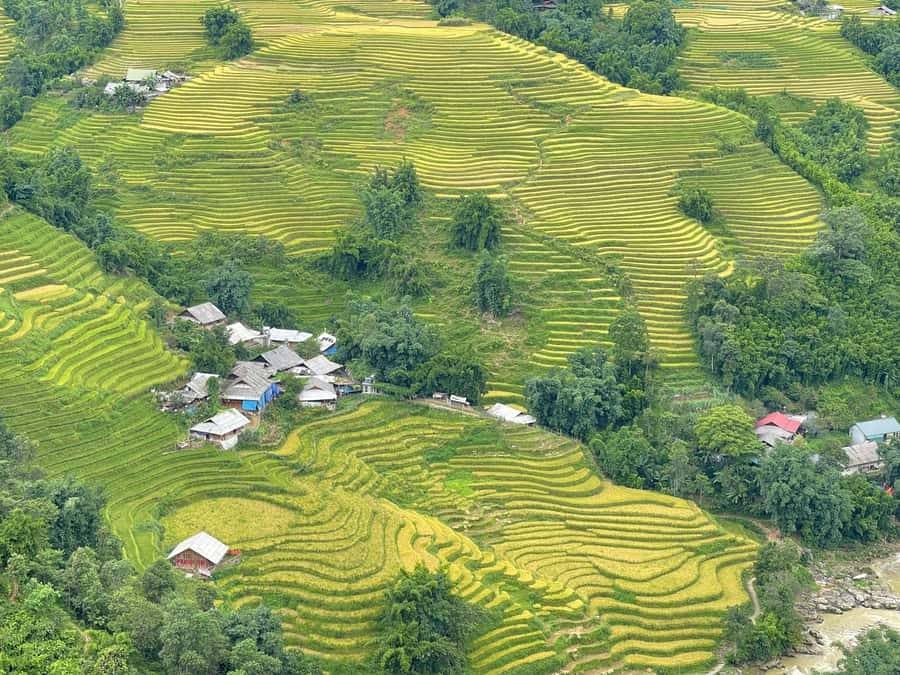 Sapa: Trekking Sapa One Day With Group Tour - Is $26 Good Value?