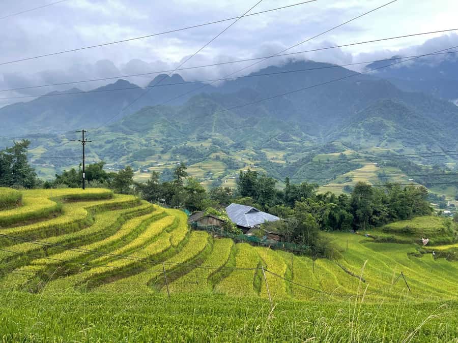 Sapa: Trekking Sapa One Day With Group Tour - Weather, Clothing, and Physical Demands