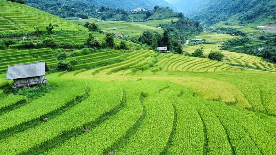 Sapa: Trekking Sapa One Day With Group Tour - Through Bamboo Forest and Muong Hoa Valley