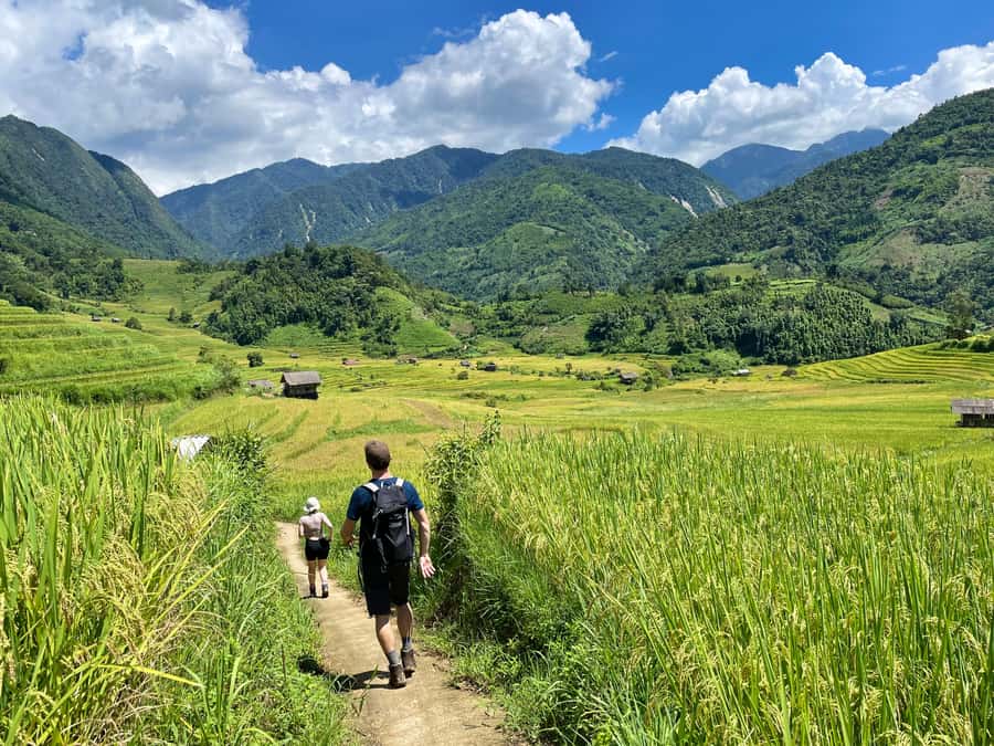 Sapa: Trekking Through Terraced Rice Fields & Valley 1 Day - At a glance: what makes this Sapa trek worthwhile