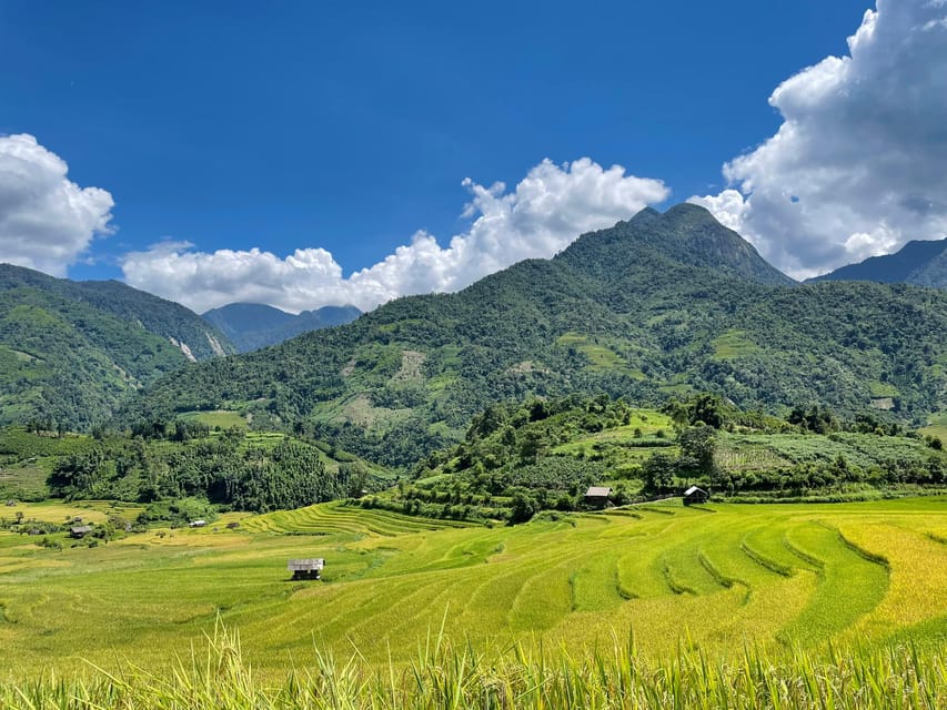 Sapa: Trekking Through Terraced Rice Fields & Valley 1 Day - What you will and will not get from the experience