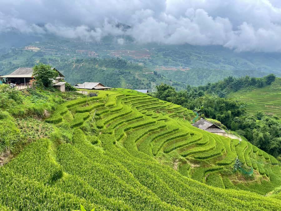 Sapa: Trekking Through Terraced Rice Fields & Valley 1 Day - Lunch beside the Muong Hoa Stream