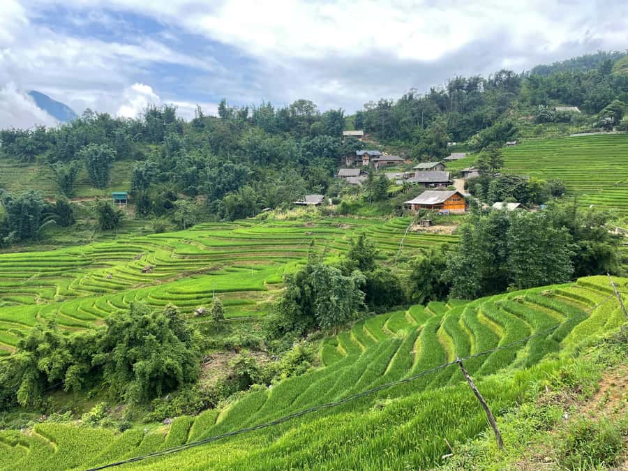 Sapa: Trekking Through Terraced Rice Fields & Valley 1 Day - The walking difficulty and who should book