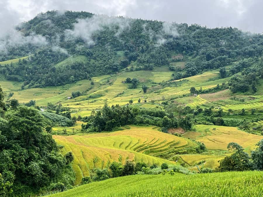 Sapa: Trekking Through Terraced Rice Fields & Valley 1 Day - Practical timing, weather, and comfort