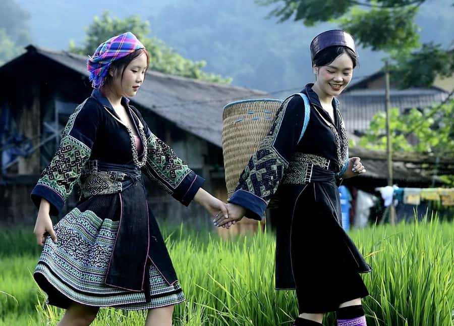 Sapa: Trekking Through Terraced Rice Fields & Valley 1 Day - Y Linh Ho: forest paths and wide valley views