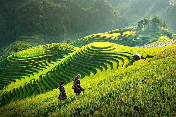 Sapa Trekking Tour 2 Days 1 Night By Bus - Why this Sapa trip works for a short visit