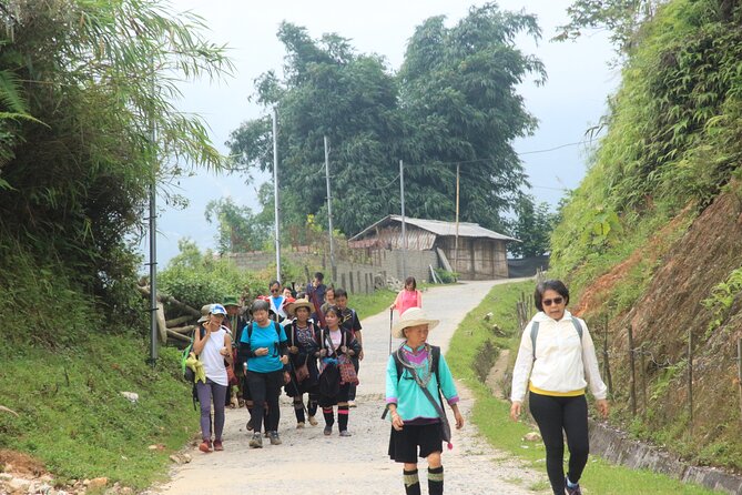 Sapa Trekking Tour Full Day - The high point above Muong Hoa Valley
