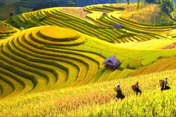 Sapa Trekking Tours - 2 Days 1 Night Stay At Homestay - Day one: Hanoi to Sapa and the walk to Cat Cat